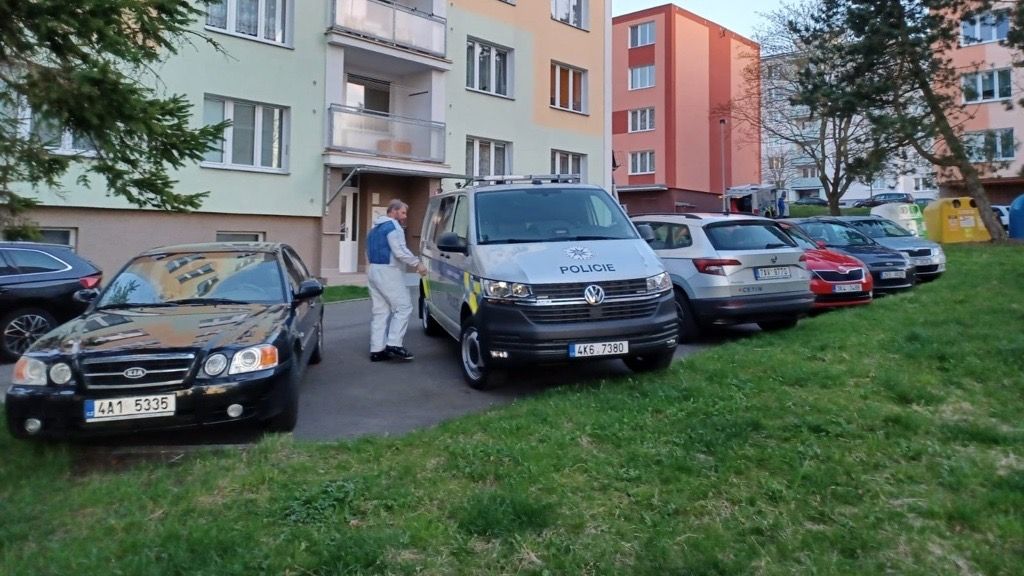 Matka v Karlových Varech pobodala tři malé děti. Jedno zemřelo